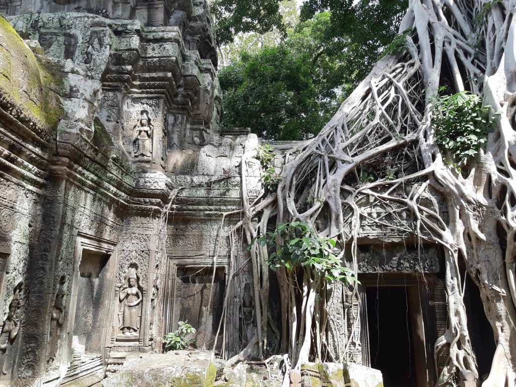 Ta Prohm temple