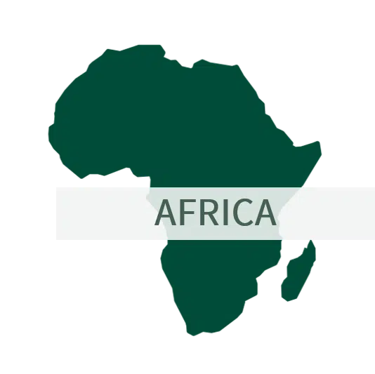VoyageVisit Africa Logo