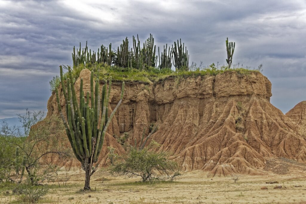 Tatacoa Desert