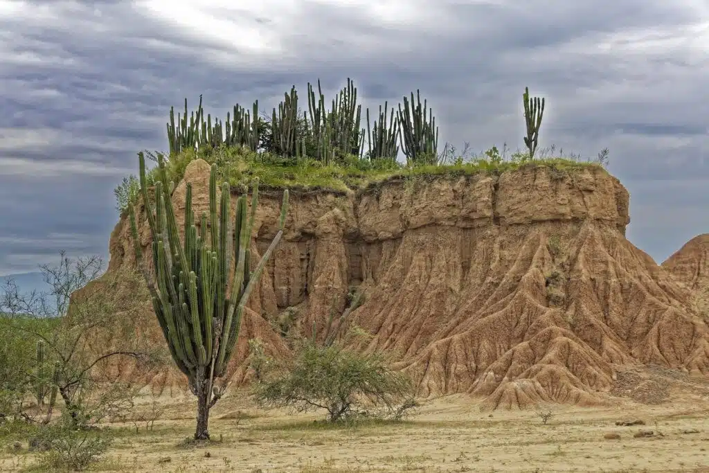 Tatacoa Desert