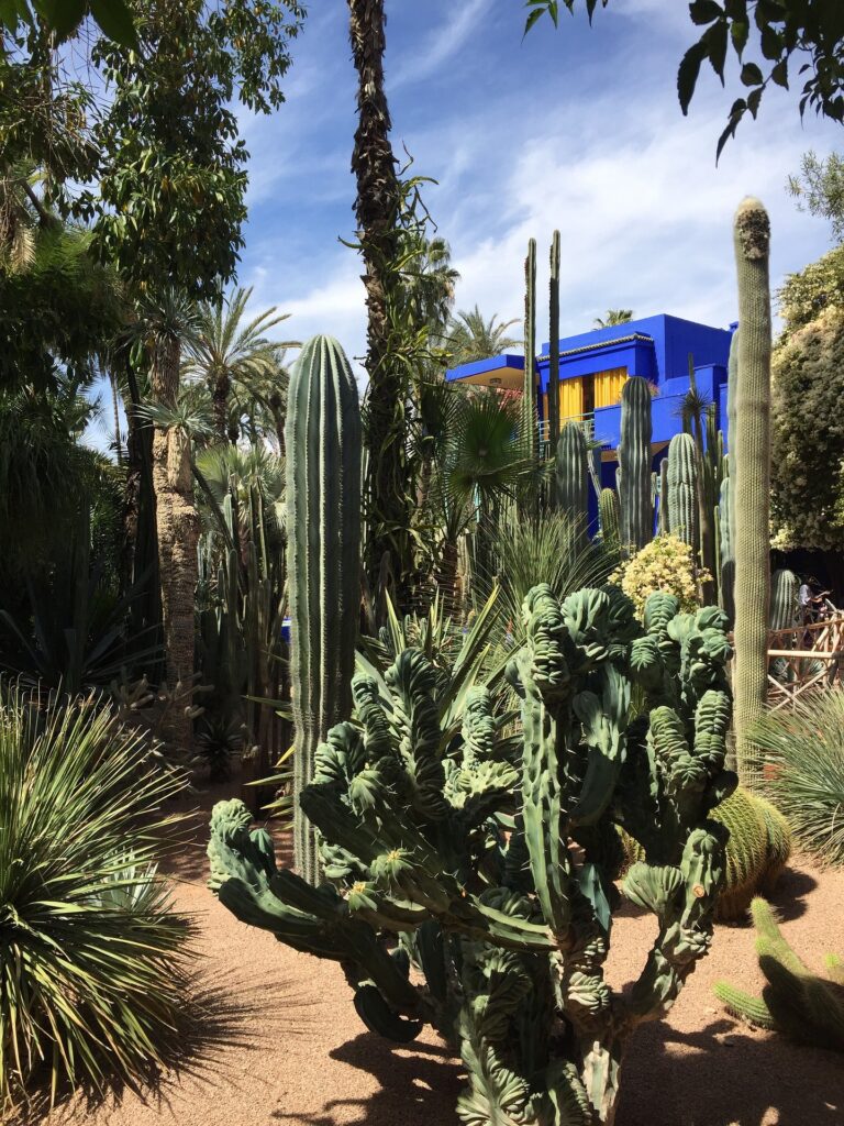 Majorelle Garden