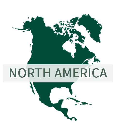 North America logo