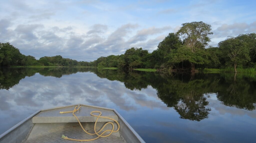 Amazon Rainforest