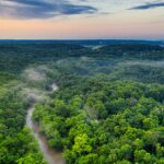 Amazon Forest