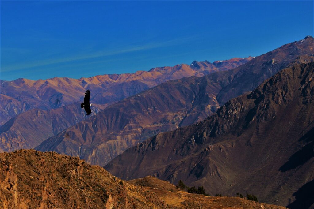 Peru, Colca Valley