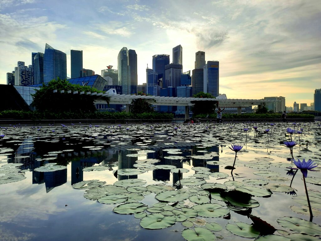 Marina Bay, water show