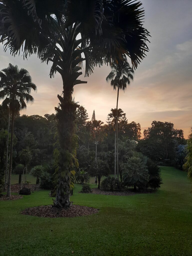 Singapore Botanic Gardens