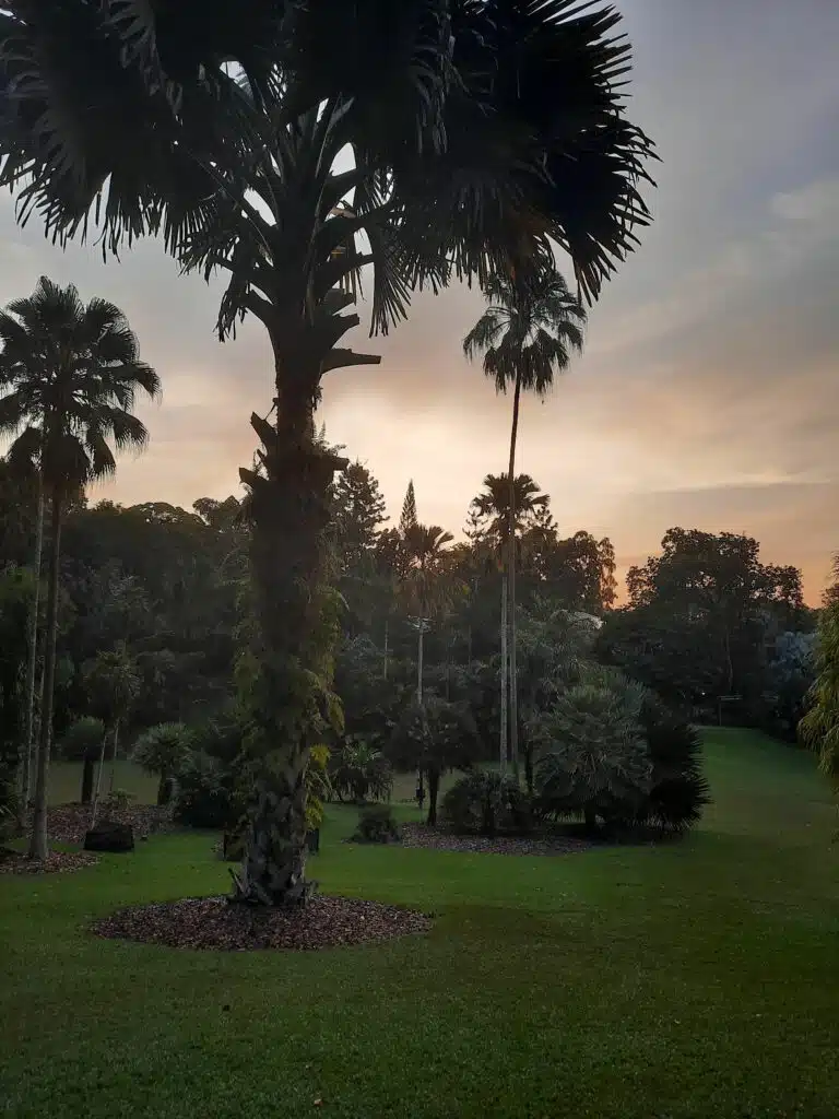 Singapore Botanic Gardens