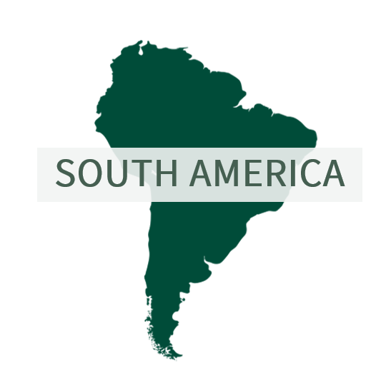 South America logo