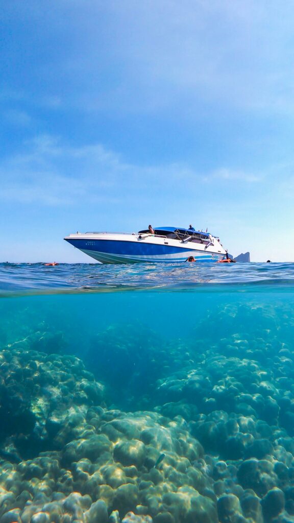 diving in koh phi phi