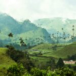 Cocora Valley