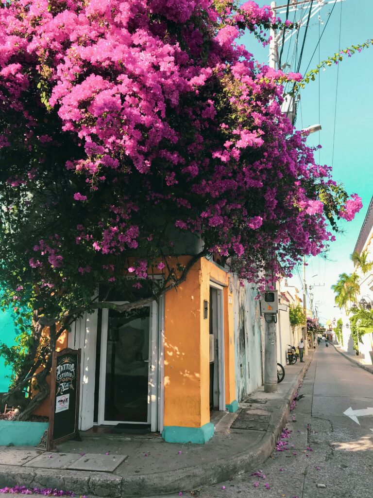 Colorful Cartagena