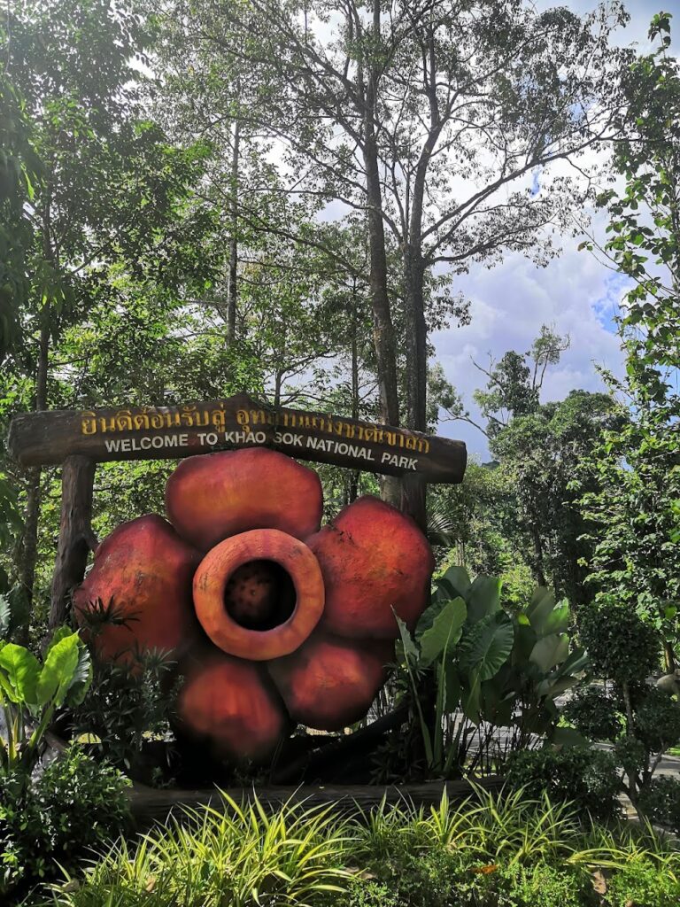 Khao sok