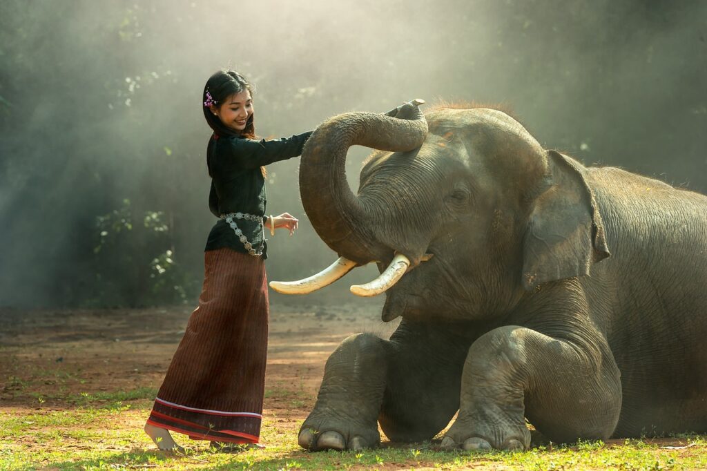 Thailand, Elephant Sanctuary