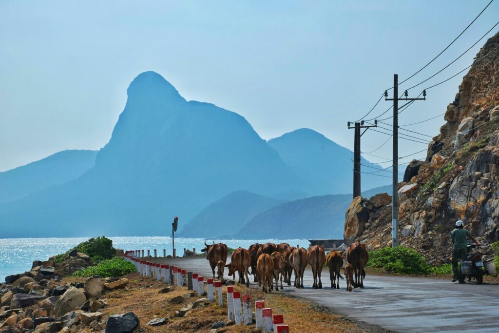 Vietnam, ConDao