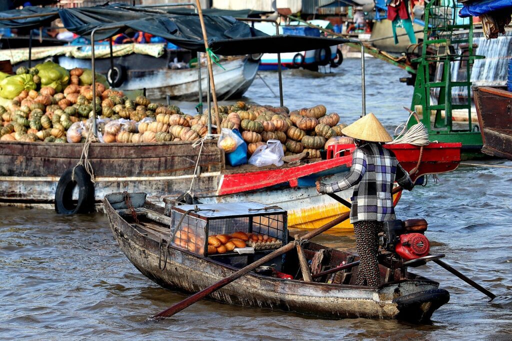 Vietnam, Mekong