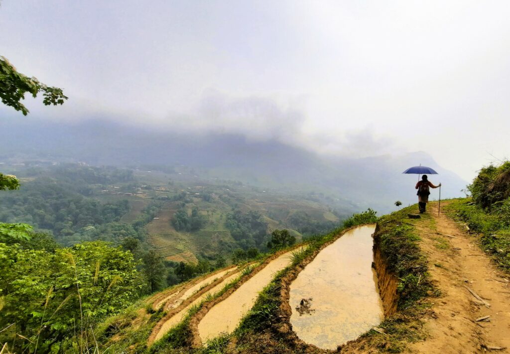 Sapa, Terraced Rice Fields