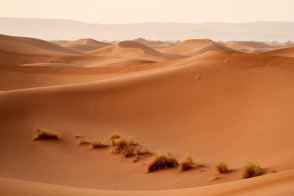 Moroccan Sahara Desert