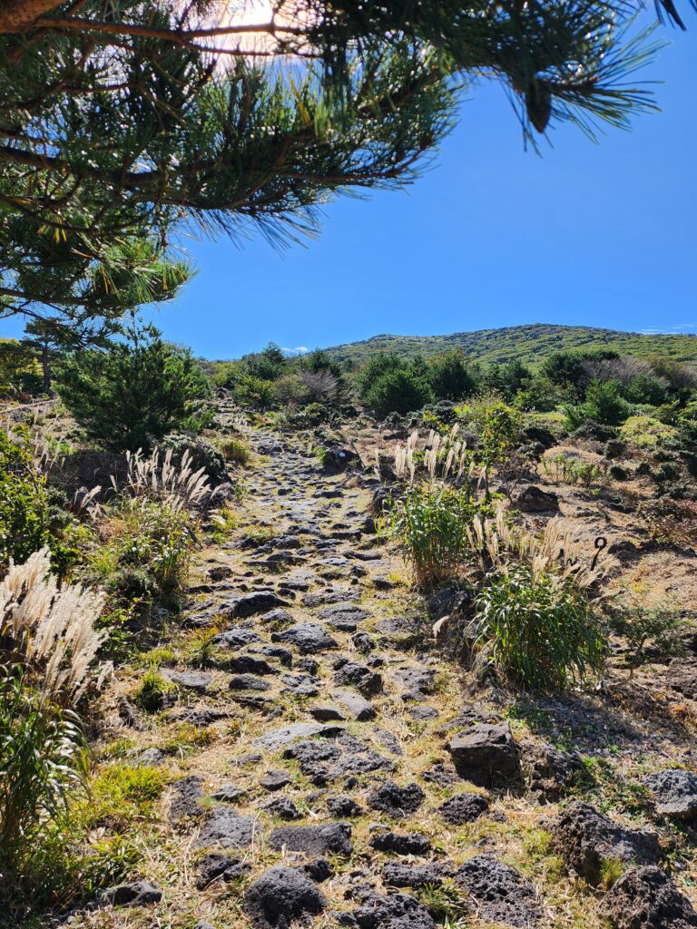 Hallasan National Park