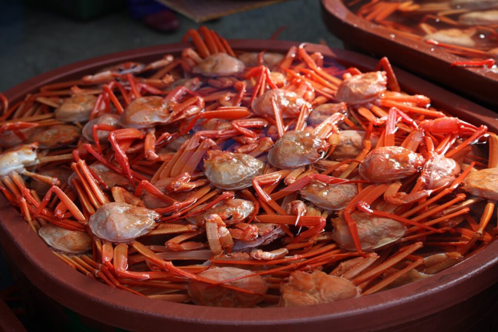 sokcho crab