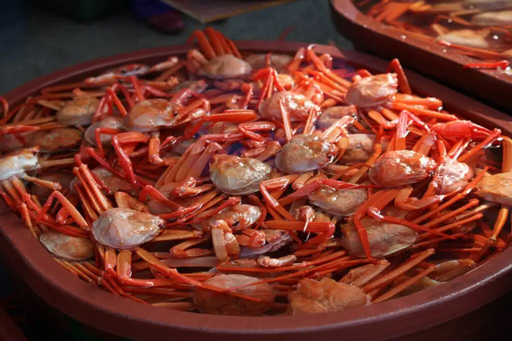 sokcho crab