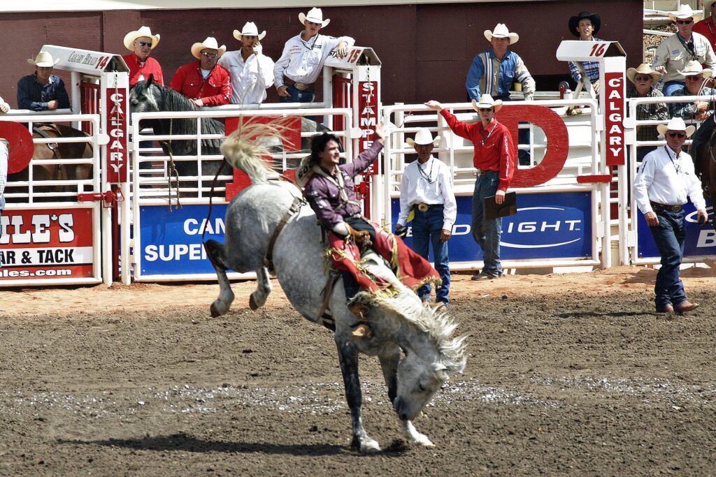 Calgary Stampede