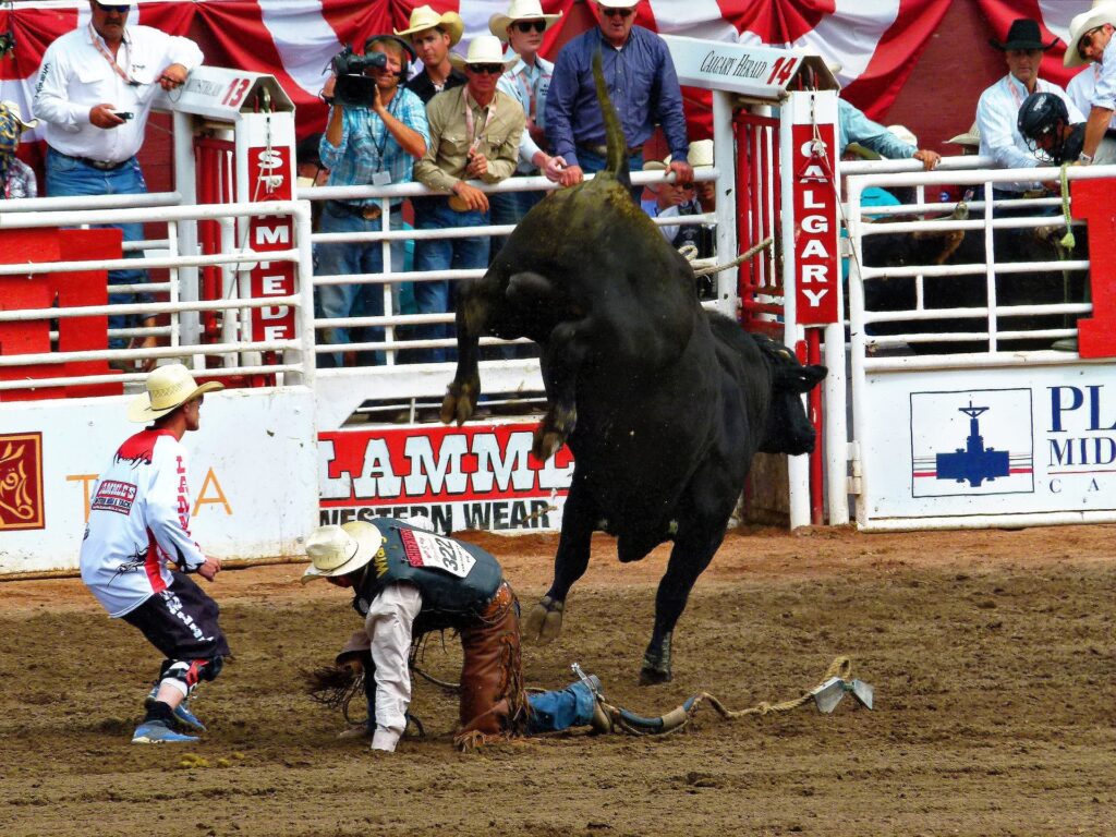 Calgary Stampede