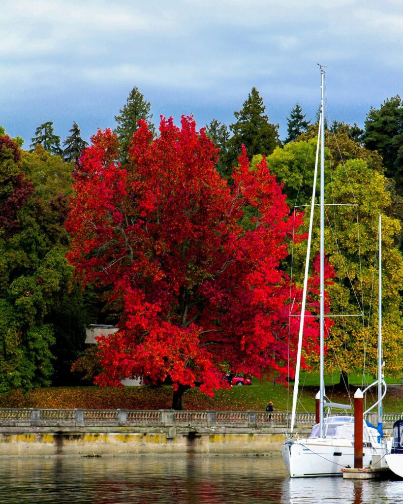 Stanley Park