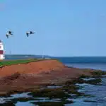 Prince Edward Island