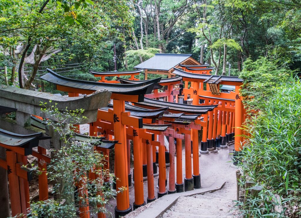 Senbon Torii view