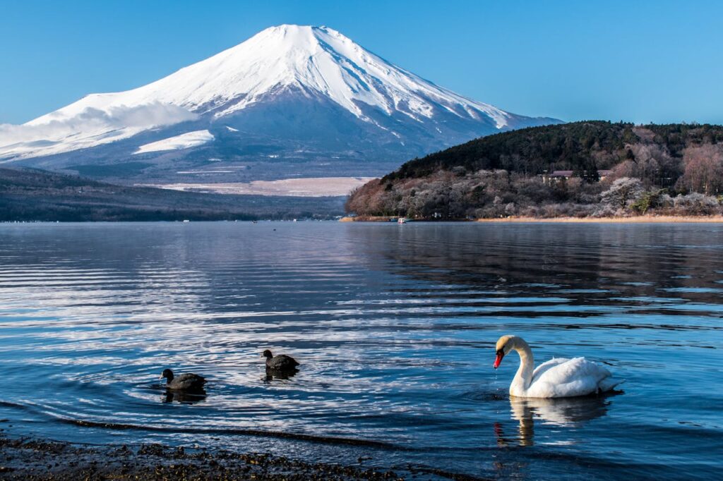 Yamanaka lake