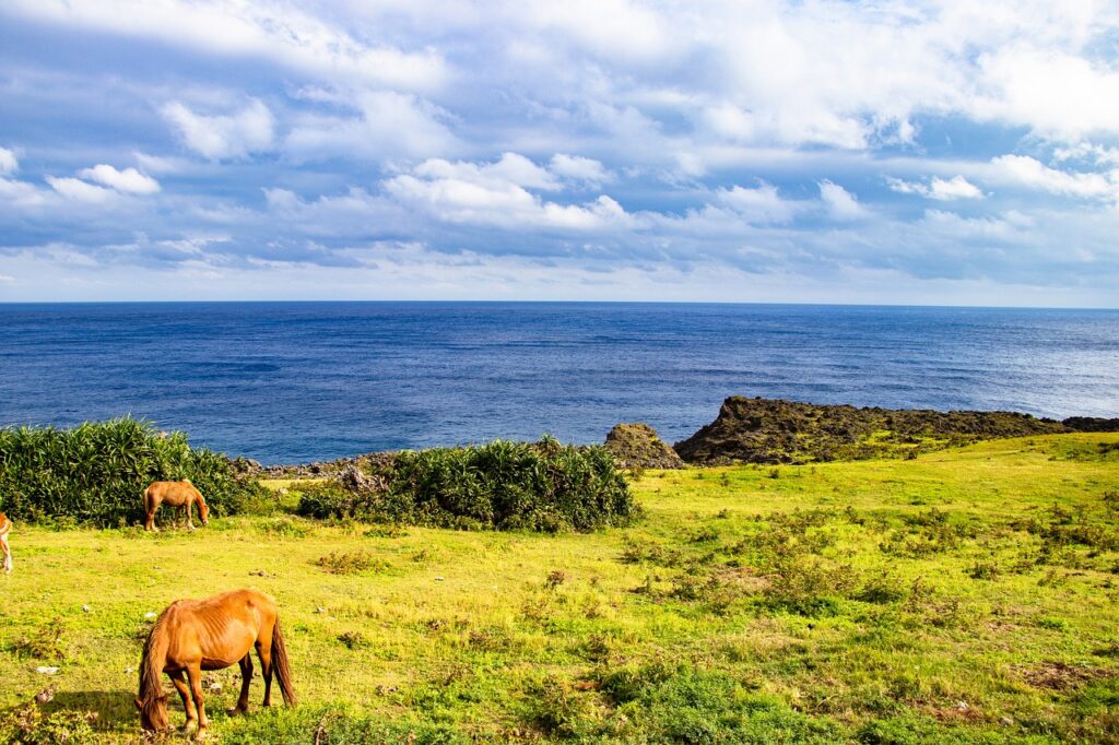 Ishigaki island