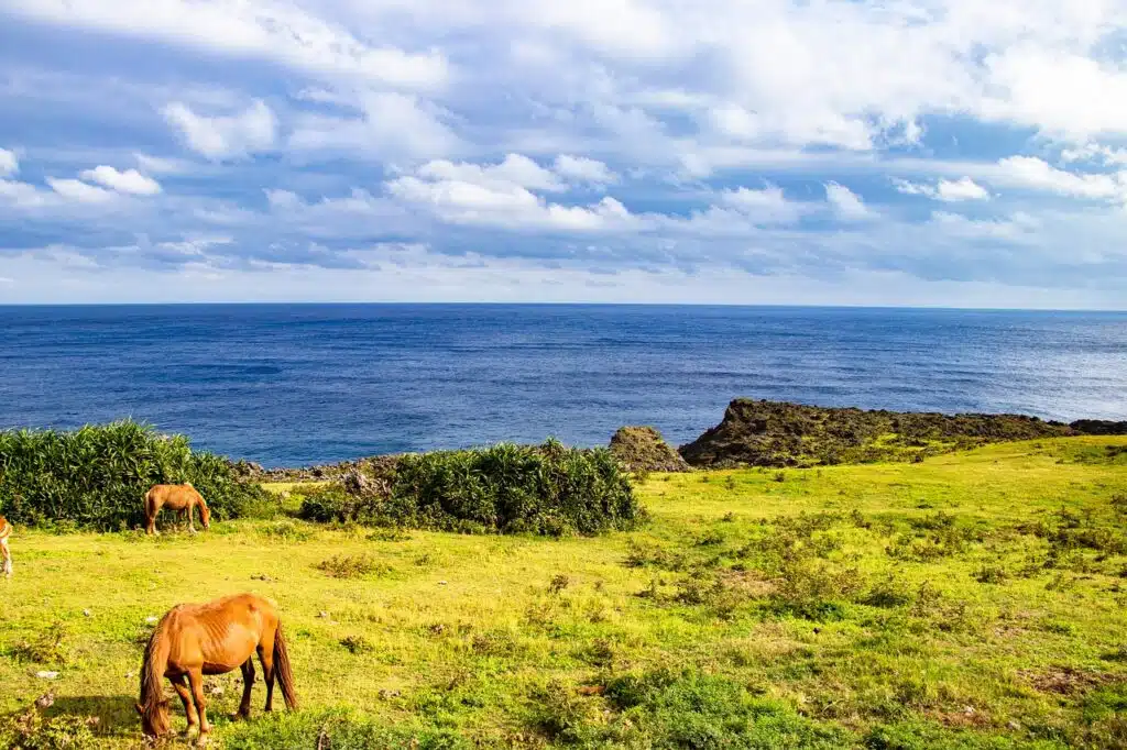Ishigaki island
