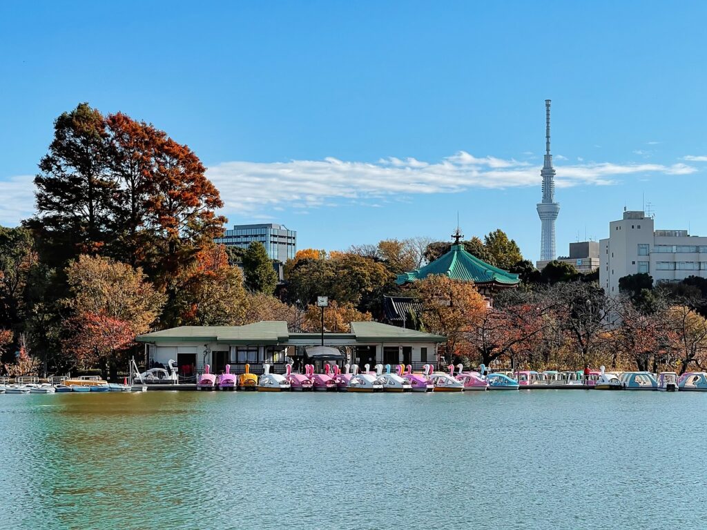 Shinobazu pond