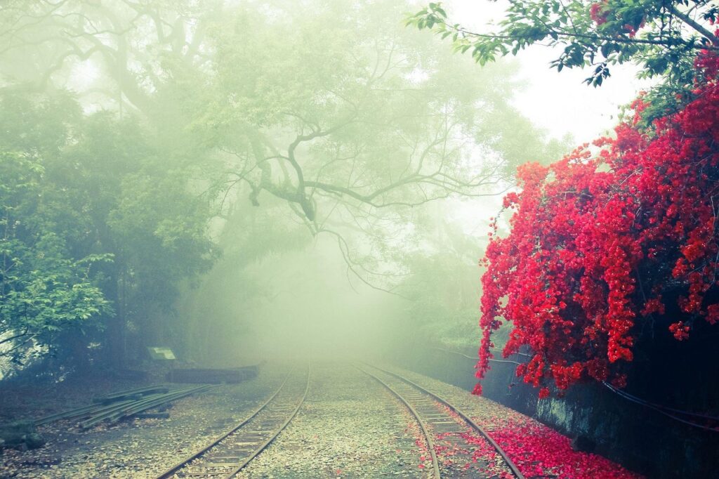 Alishan Forest Railway