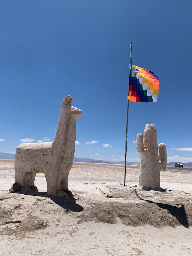 Salinas Grandes, lama