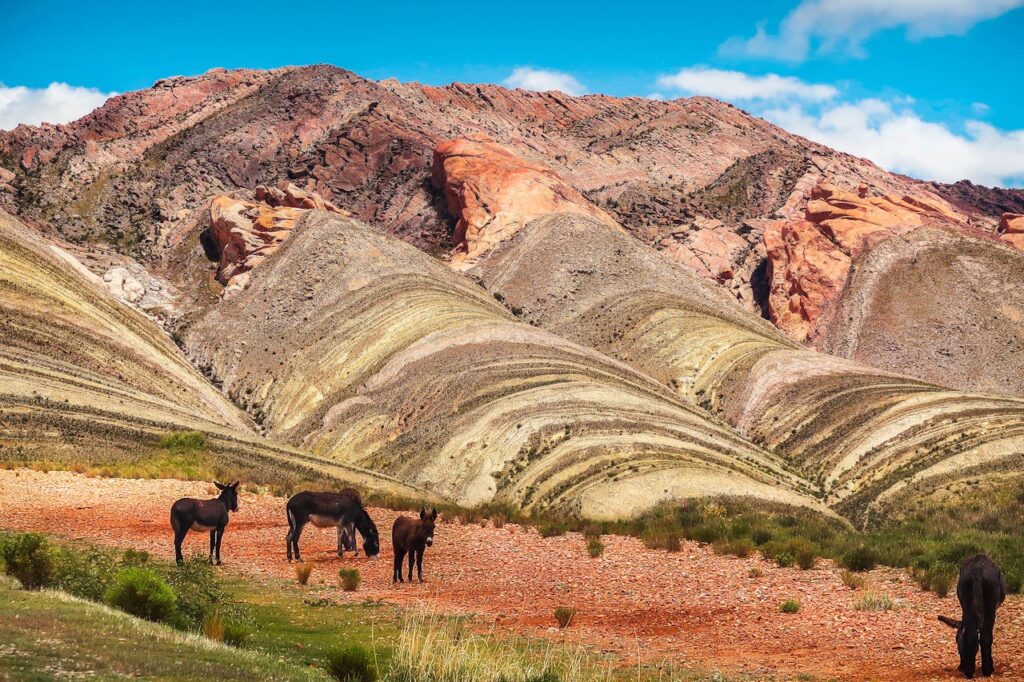 Quebrada de Humahuaca