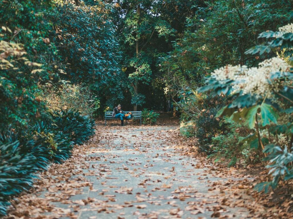 Adelaide Botanic garden