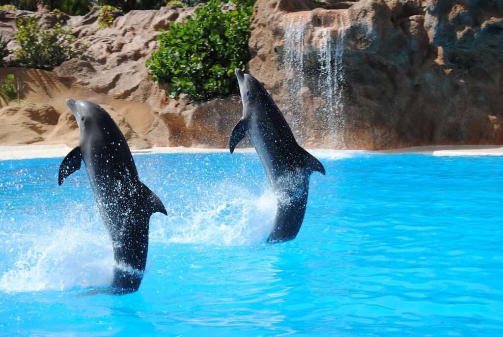 Australia, Sea World