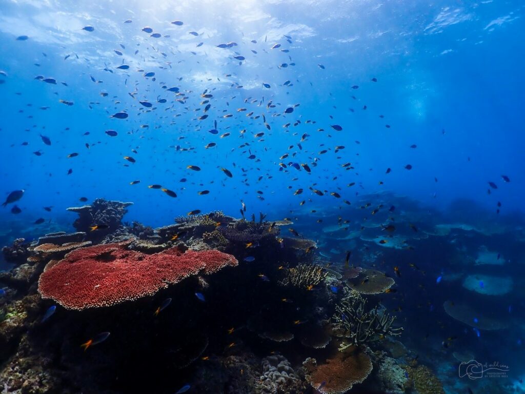 Australia, Great Reef Barrier