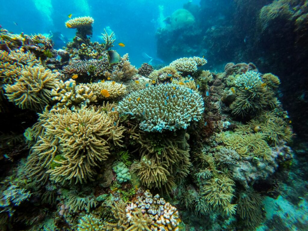 Australia, Great Reef Barrier