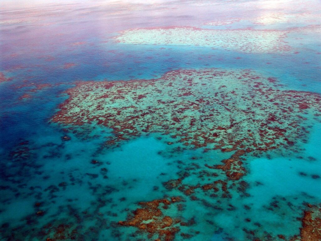 The Great Barrier Reef, Biodiversity