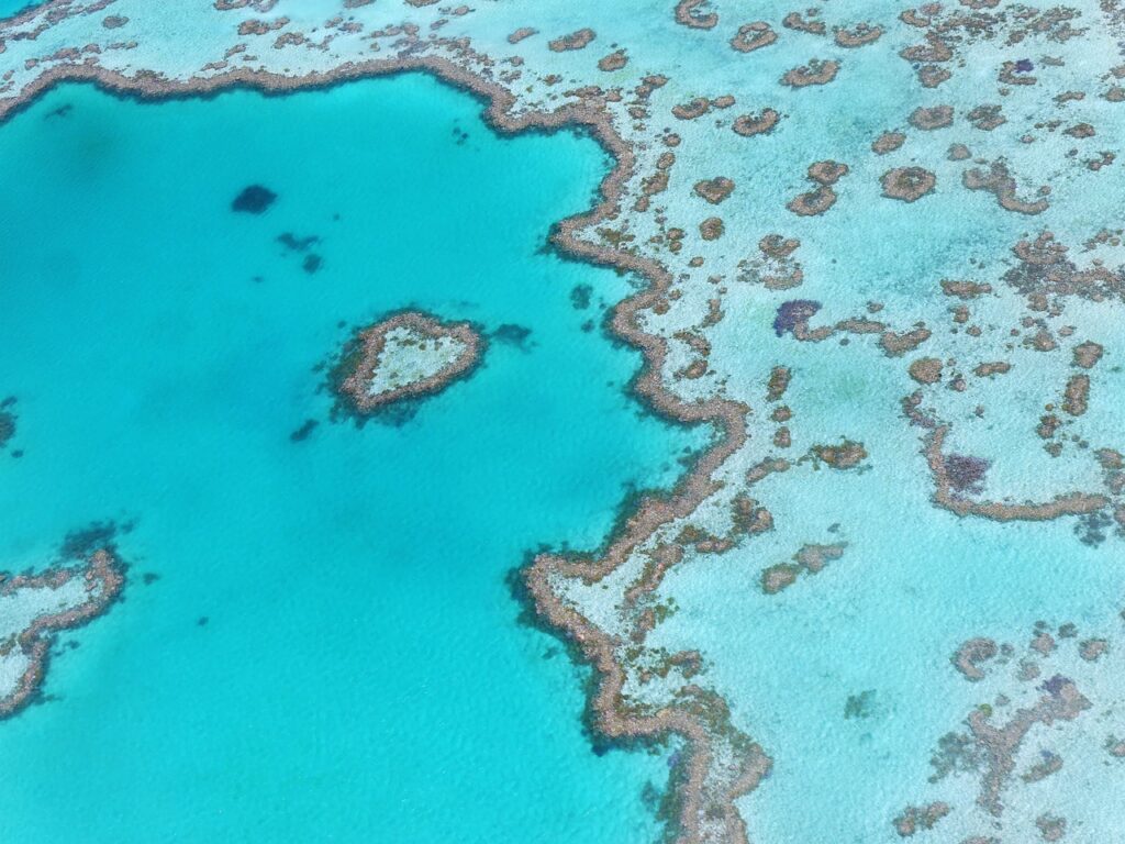 Heart in The Great Barrier Reef