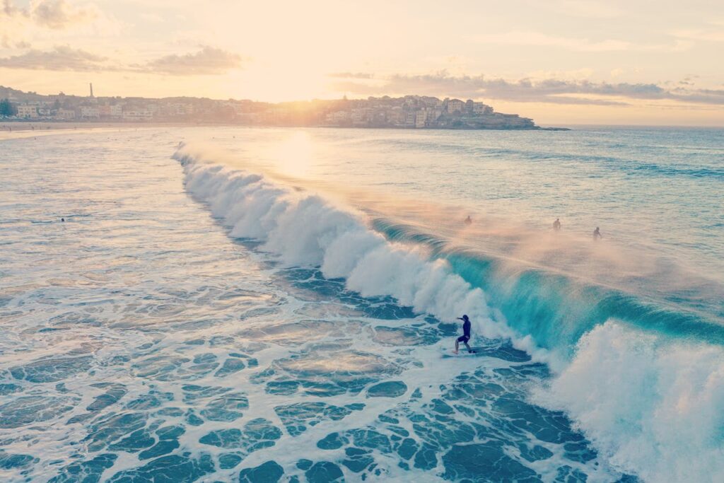 surf in bondi beach