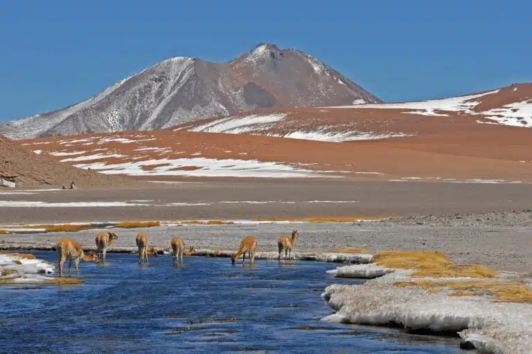Chile
