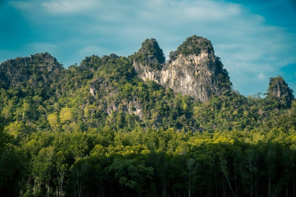 Kilim Karst Geoforest Park 2