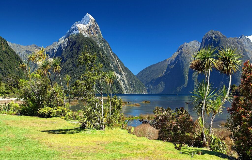 Milford sound, scenery