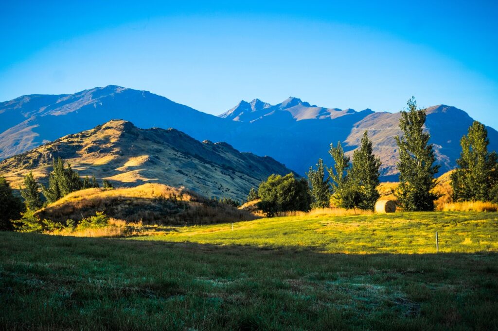 Nature in Arrowtown