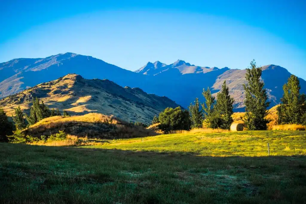 Nature in Arrowtown