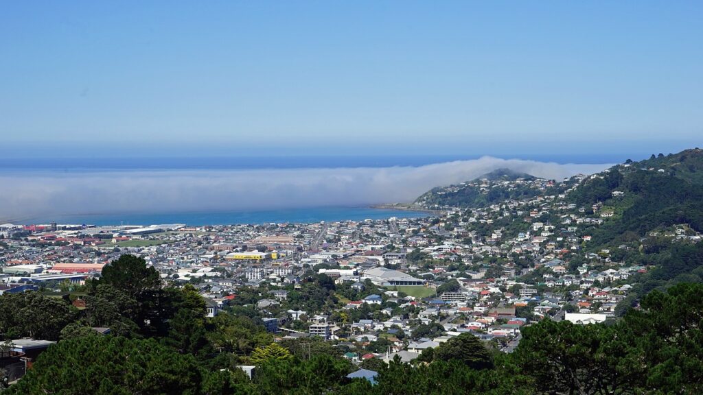 Wellington - Mount Victoria